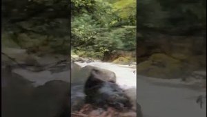 Омало,Тушетия  горный край на северо-востоке Грузии tetritour.ru