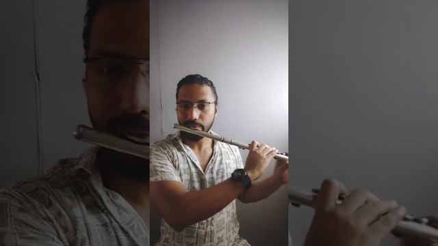 Stephen Sanchez - Until I Found You (Flute Cover) смотреть онлайн