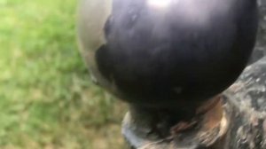 Тест преобразователя ржавчины wurth, нанесён справа, продолжение в следующем видео