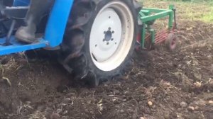 Уборка картофеля Грохотной картофелекопалкой...