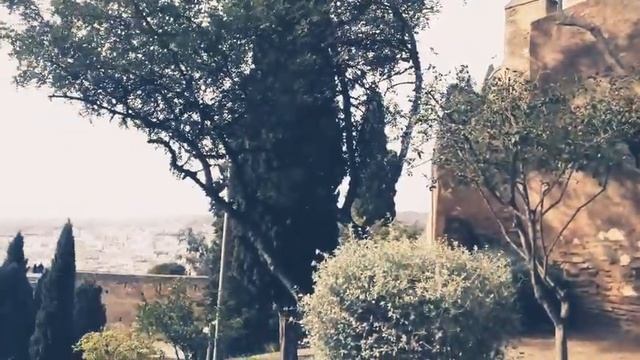 ЗИМА В ИСПАНИИ.САМЫЙ ЧАСТОЗАДАВАЕМЫЙ ВОПРОС.ЗА ЧТО МЕНЯ УВОЛИЛИ?.СКАТЕРТЬ ОДЕЯЛО.КАК ОНИ ГРЕЮТСЯ. смотреть онлайн