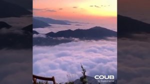 ЮМОР | РАЗВЛЕЧЕНИЯ |ПРИКОЛЫ COUB #468