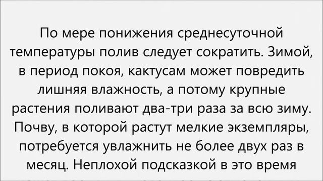 Как поливать кактус