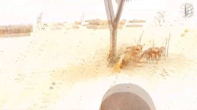 Puits / Колодец №: 3066 Niger смотреть онлайн