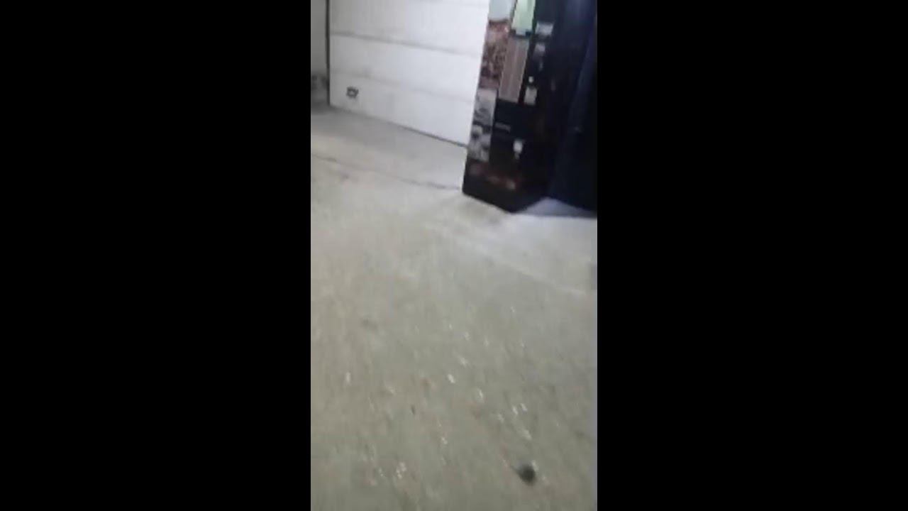 Mr Gamer FF в прямом эфире! смотреть онлайн