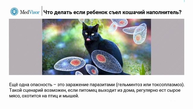 ﻿Ребенок проглотил кошачий наполнитель? Без паники!
