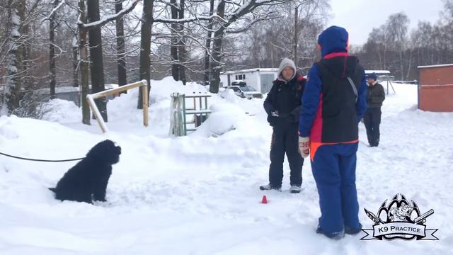 ЧЁРНЫЙ ТЕРЬЕР АПС 1 смотреть онлайн