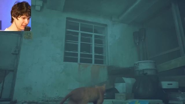 ТЫ БУДЕШЬ ПЛАКАТЬ ➲ СИМУЛЯТОР КОТА ➲ Stray смотреть онлайн