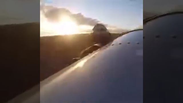 Охота на кабана. смотреть онлайн