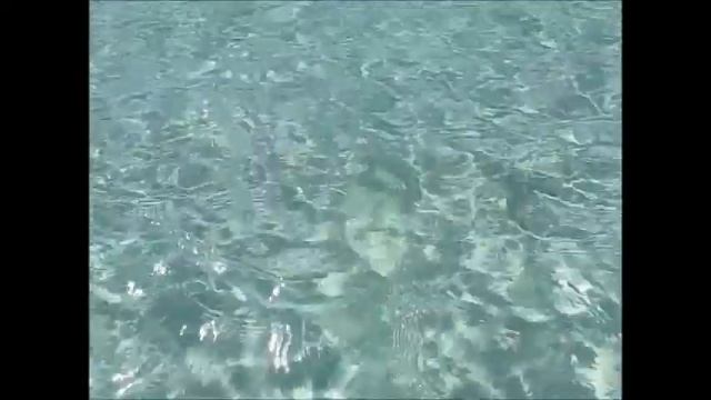 Таиланд на байдарке Tailand 2015 short смотреть онлайн