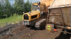 торфоразработки Пельгорское