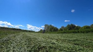 СОЧНЫЙ Сенокос в деревне. КОСИМ ГУСТУЮ ЛЮЦЕРНУ МОТОБЛОКОМ с переделанной косилкой. ЖИЗНЬ В ДЕРЕВНЕ