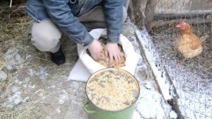 Смесь зерна для кроликов (зерно для кроликов)