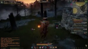 Black Desert - Обзор игры от GameZone MMO