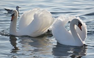 Сутажное кино 4 серия.