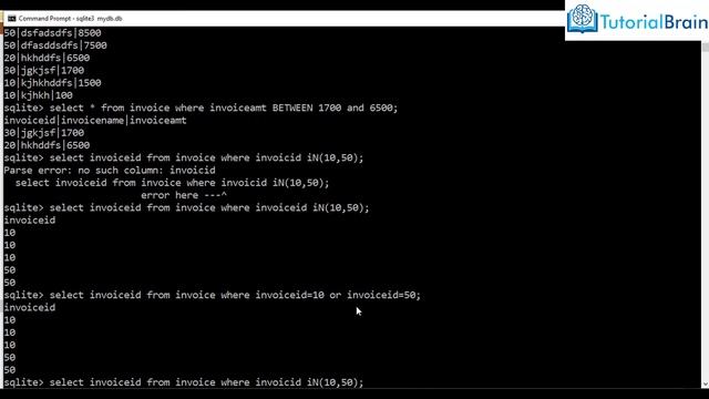 SQLite Tutorial for Beginners in 1 Hour