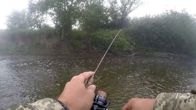Ловля голавля на горных речках западной Украины. ПГТ Сходница (Східниця). День первый.