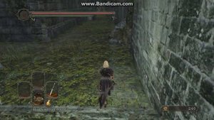 Dark Souls II - Сloranthy ring/Кольцо Клоранти #2