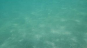 Песчаный пляж Xperience Kiroseiz Premier - Шарм-эль-Шейх часть 2 подводная