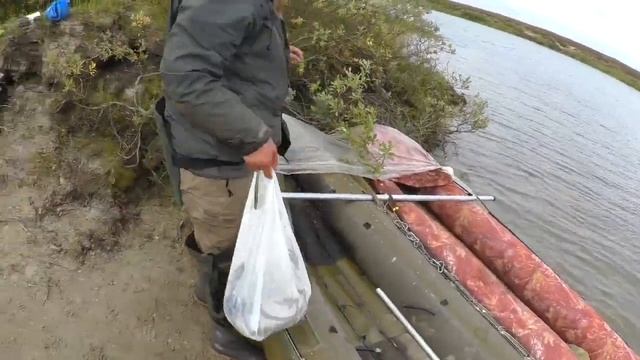 Ловля чира