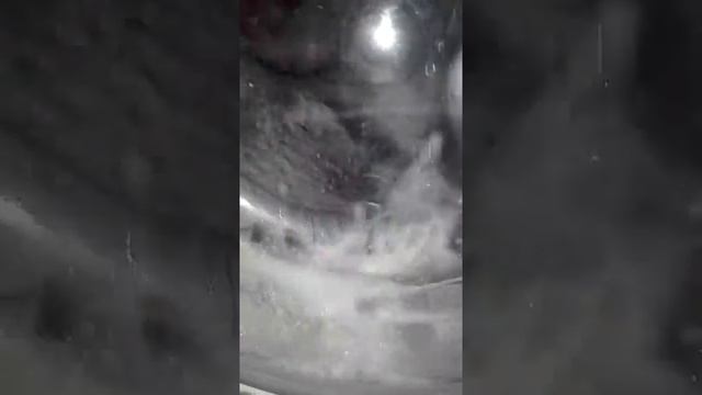 Я помыла своего кота Басика была вся в слезах смотреть онлайн