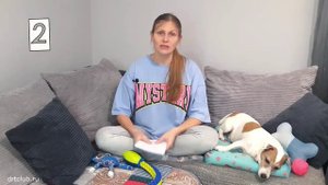 Избыточный вес и ожирение у собаки