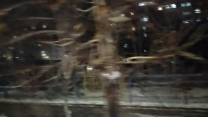 Ночной Водник.Ташкент Бектемирский район.#Узбекистан.#Казакистан.