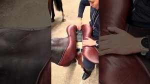 Разбор строения конкурного седла изнутри: как выглядит ленчик, подушки