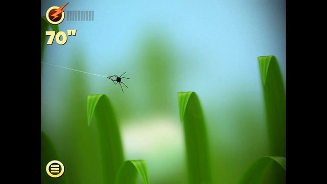 Самый большой в мире паук смотреть онлайн