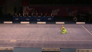 Дарья Тарасова- Ушу Таолу, Чанцюань. Всемирные Игры Боевых искусств 2013 г. Санкт- Петербург.