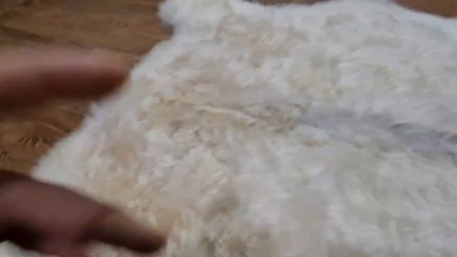 ШКУРА КОЗЬЯ ДЕКОРАТИВНАЯ КРЕМОВОГО ЦВЕТА (КОД: 4268) смотреть онлайн