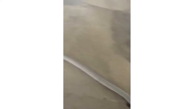 ? Уборка зерновой пыли пылесосом Дастпром