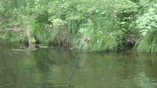 Ловля хариуса на таежной речке. смотреть онлайн