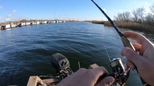 CRAZY FISH Arion ASRE832LS 3-15 и мелкий окунь .