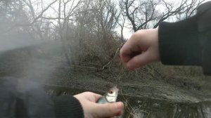 Рыбалка Весной в проводку на плотву