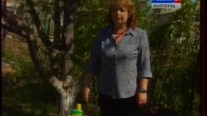 Борьба с вредителями плодовых культур. Плодожорка. Средства борьбы против плодожорки.