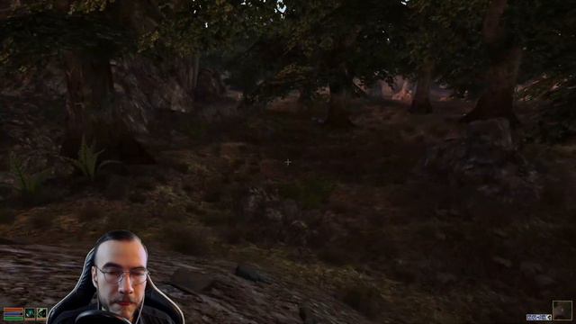 Morrowind Tamriel Rebuilt - Хребет Боэтии, #175 (237)