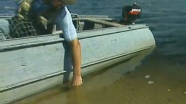 8. Стайный верховой окунь (поппер, стикбэйт). Река Днепр, черкасская область. 2003. смотреть онлайн