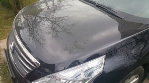 Теана глохнет