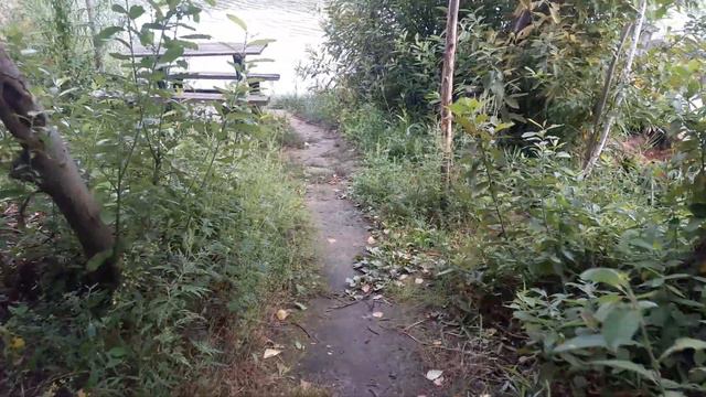 Славянск. 21 августа 2022г. Утро. смотреть онлайн