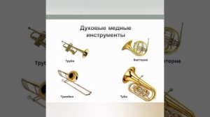 Инструменты симфонического оркестра. Видео лекция
Автор: Елена Юдина @user-hu8zv5ql1j