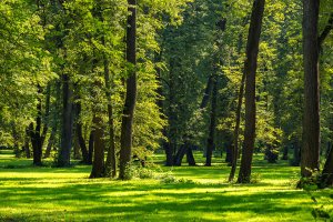 Территория конгресс-парка "Волынское"