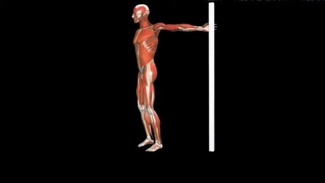 Растяжка плеча в дверном проеме Upper Arm Stretch Doorway смотреть онлайн