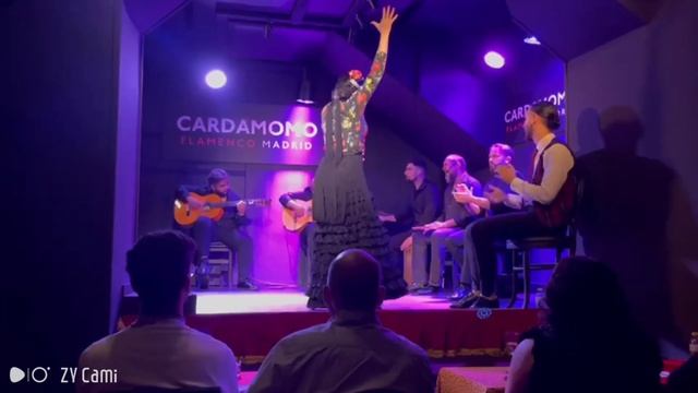 The best Flamenco show in Madrid Spain at Cardamomo смотреть онлайн