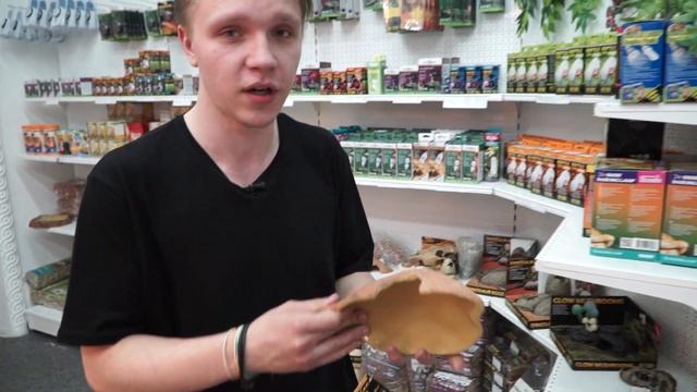 Обустройство террариума для эублефара. смотреть онлайн