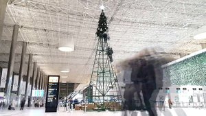Монтаж и оформление искусственной ели от GreenTrees (ГринТриз). Аэропорт г. Симферополь.