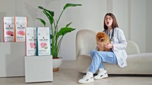 Сухой корм BOWL WOW для собак мелких пород: взгляд ветеринара