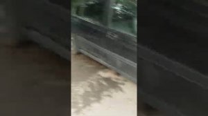 Honda Civic Aerodeck 1998г (Универсал)