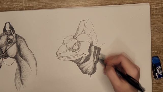 HOW TO DRAW A LIZARD!!!КАК НАРИСОВАТЬ ЯЩЕРИЦУ!!! смотреть онлайн