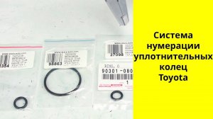 Что зашифровано в номерах деталей Toyota? Расшифровка на примере О-образных прокладок.